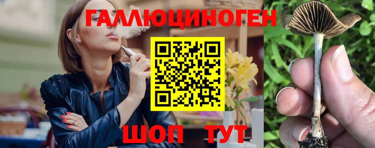 Галлюциногенные грибы прущие грибы Аргун