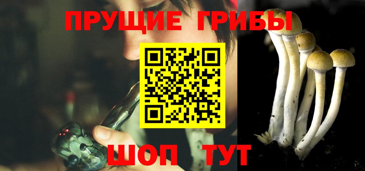 Галлюциногенные грибы Magic Shrooms  Вход с VPN  Аргун 