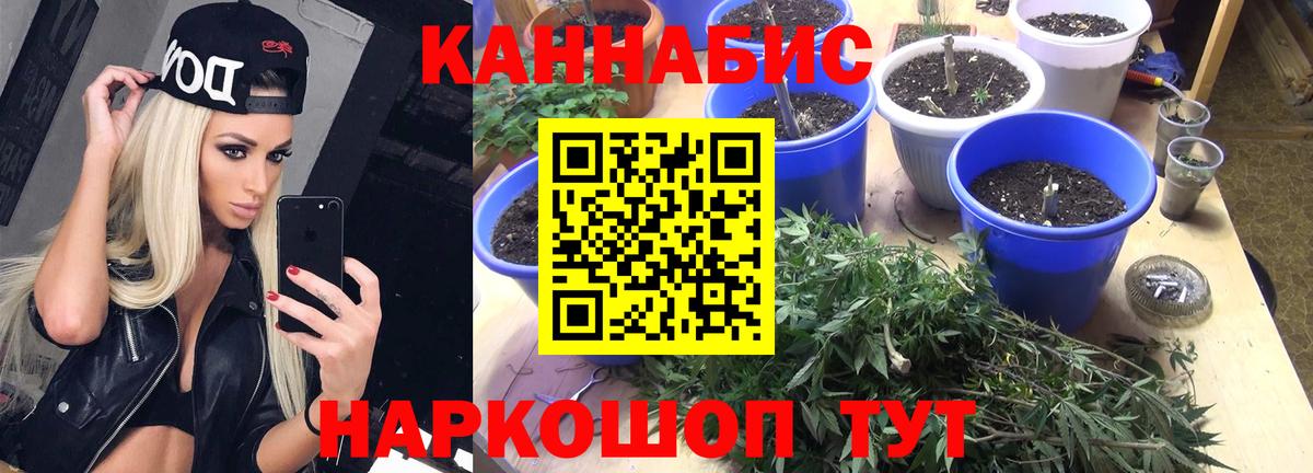 Канабис SATIVA & INDICA  Вход с VPN  Аргун  Канабис индика  МАРИХУАНА тримм 